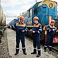 Курс «Работник группы досмотра»: повышение квалификации с выдачей удостоверения дистанционно (онлайн)